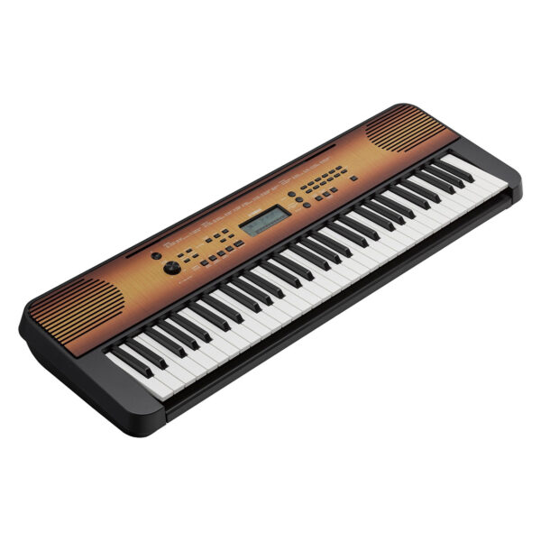 Đàn Organ Yamaha PSR-E360MA