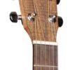 Guitar Acoustic Martin DX2E Koa