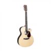 Guitar Acoustic Electric Martin GPC13E Ziricote Road Series