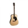 Guitar Acoustic Martin Standard Series D-21 Special