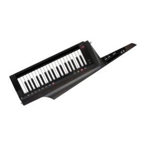 Keytar KORG RK-100S 2