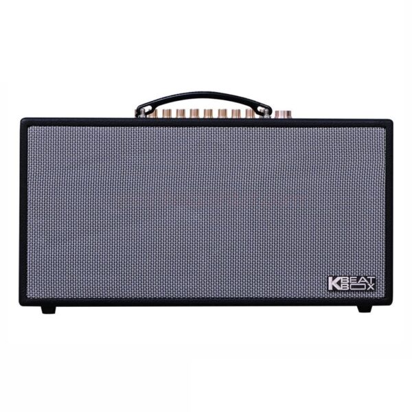 Loa Karaoke Xách Tay Mini ACNOS CS450SR