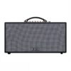 Loa Karaoke Xách Tay Mini BLUZEK BZ450PLus