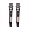 Loa Karaoke Xách Tay Mini BLUZEK BZ450PLus