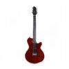 Guitar Điện Godin xtSA