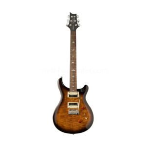 Guitar Điện PRS SE Custom 24 - Black Gold